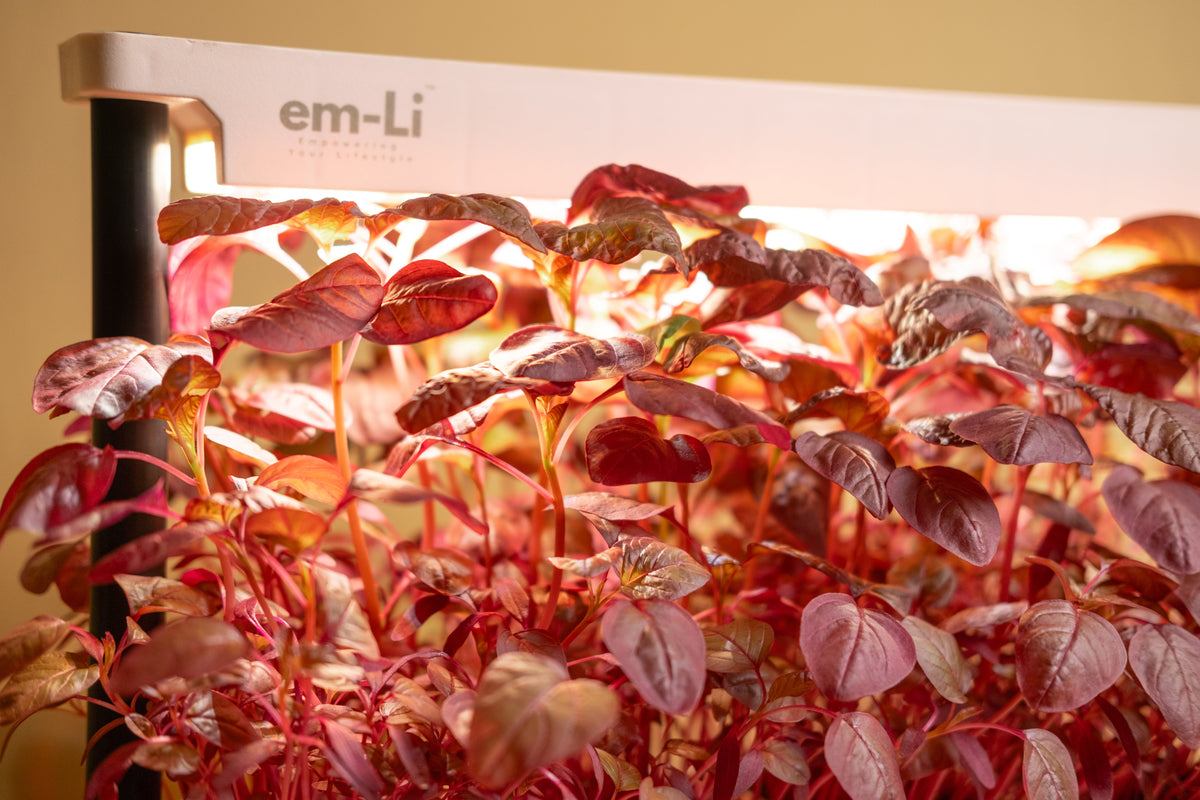 em-Li helps you grow plants that ask nothing of you