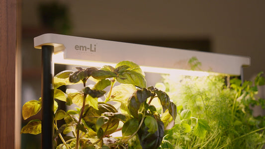 em-Li Green - smart indoor garden for modern homes