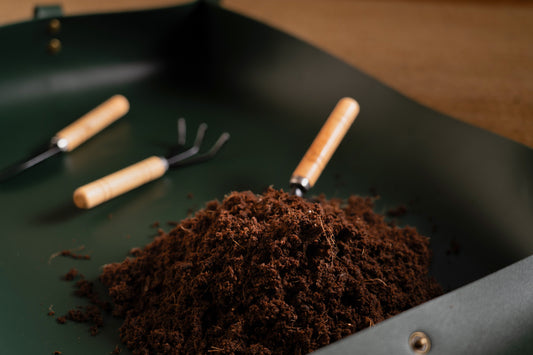 know your cocopeat - a growing medium