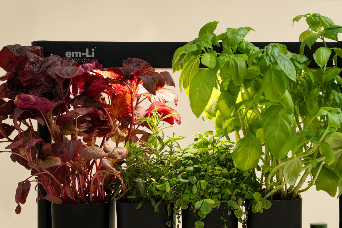 What to do if some plants grow faster than others?