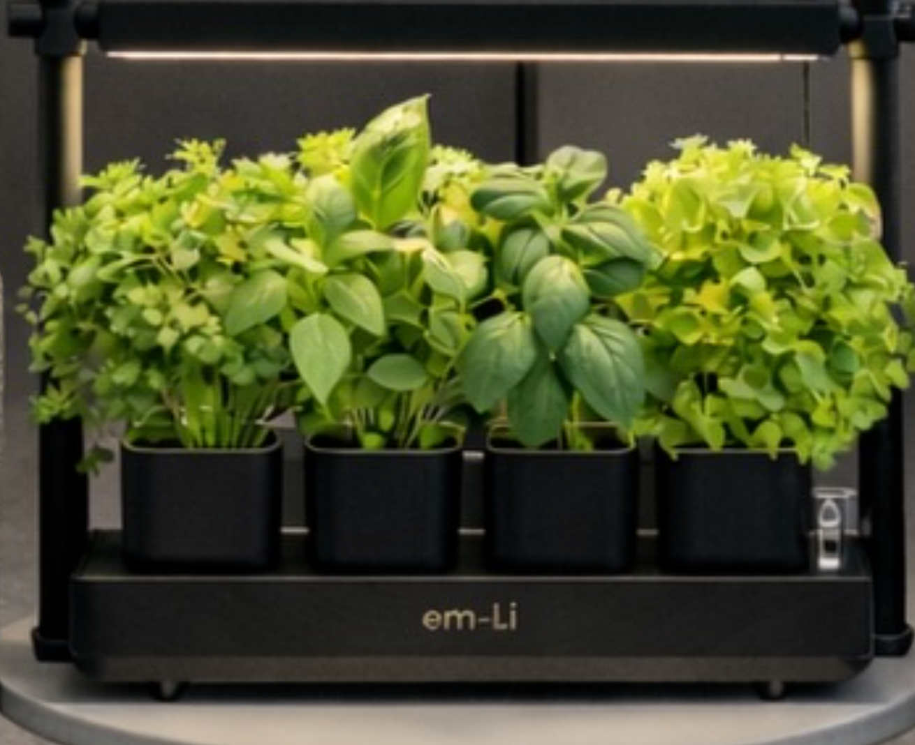 Harvesting and pruning herbs and salads
