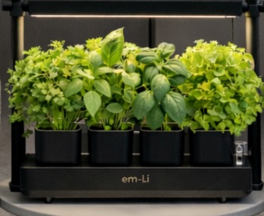 Harvesting and pruning herbs and salads