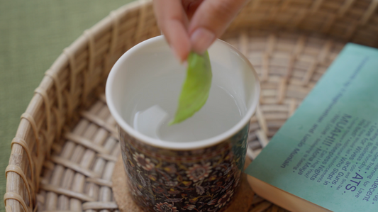 The five-minute morning ritual changing our lifestyle.
