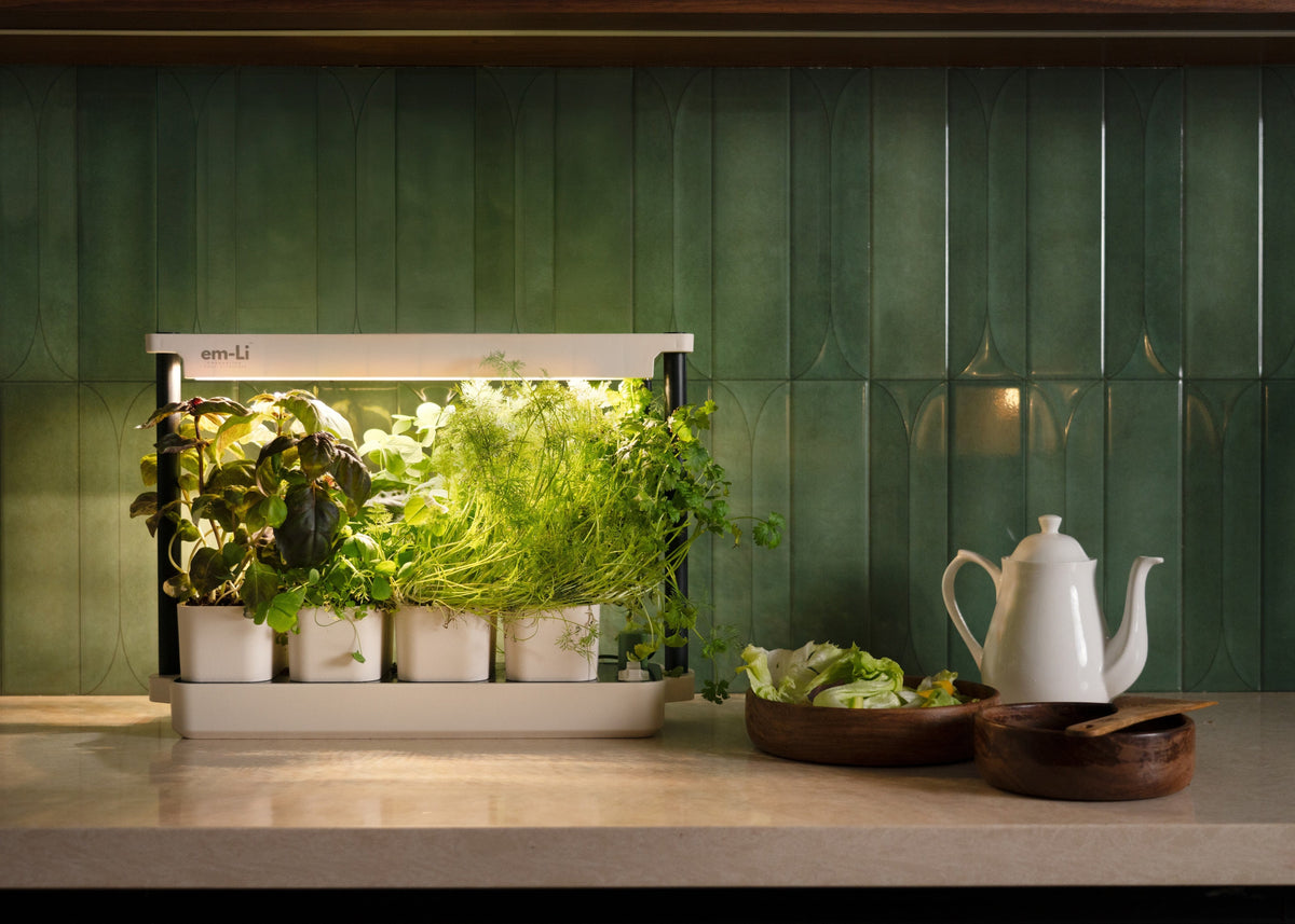 A countertop indoor garden light with several small potted green plants illuminated from within, placed on a kitchen counter in front of a green tiled backsplash. A white teapot and bowls of food are visible to the right.