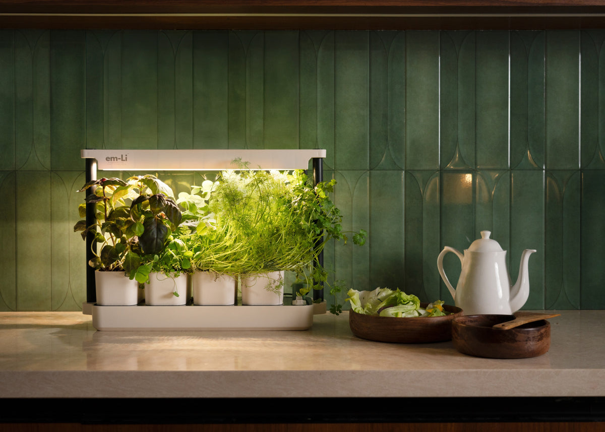 A countertop indoor garden light with several small potted green plants illuminated from within, placed on a kitchen counter in front of a green tiled backsplash. A white teapot and bowls of food are visible to the right.