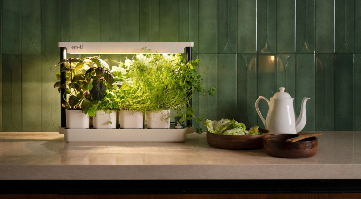 A countertop smart indoor garden light with several small potted green plants illuminated from within, placed on a kitchen counter in front of a green tiled backsplash. A white teapot and bowls of food are visible to the right.