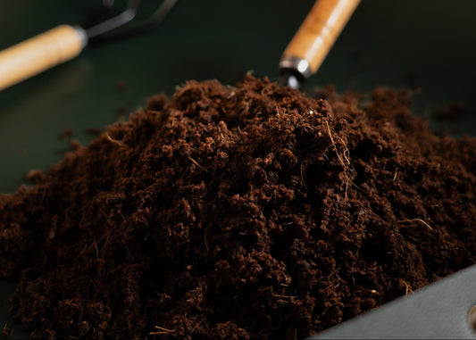 A pile of dark brown coco coir or compost substrate sits in a black tray, with two small hand tools with light wood handles resting nearby on a wooden surface.