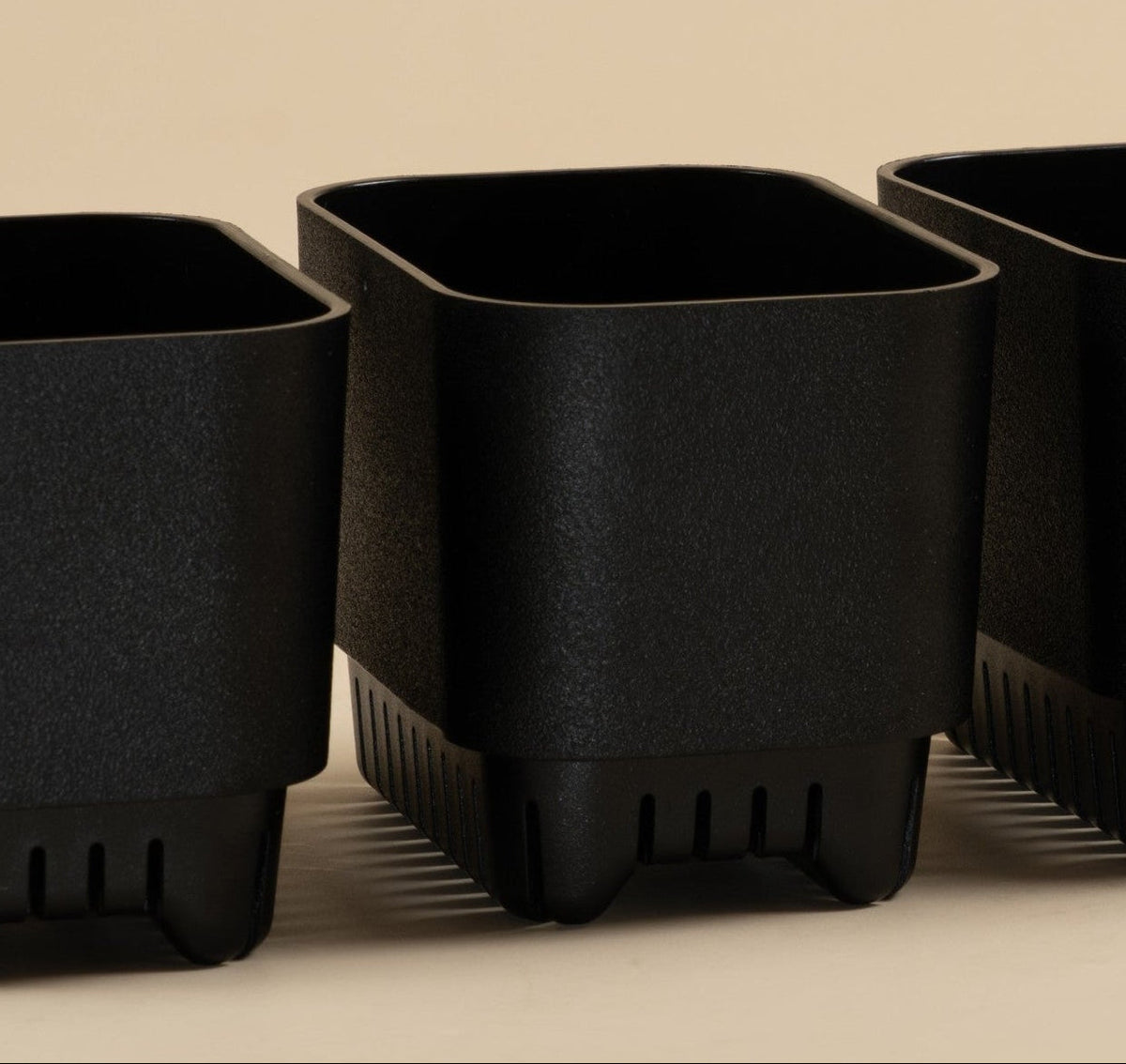 Four small black plastic nursery pots arranged in a row on a warm beige background.