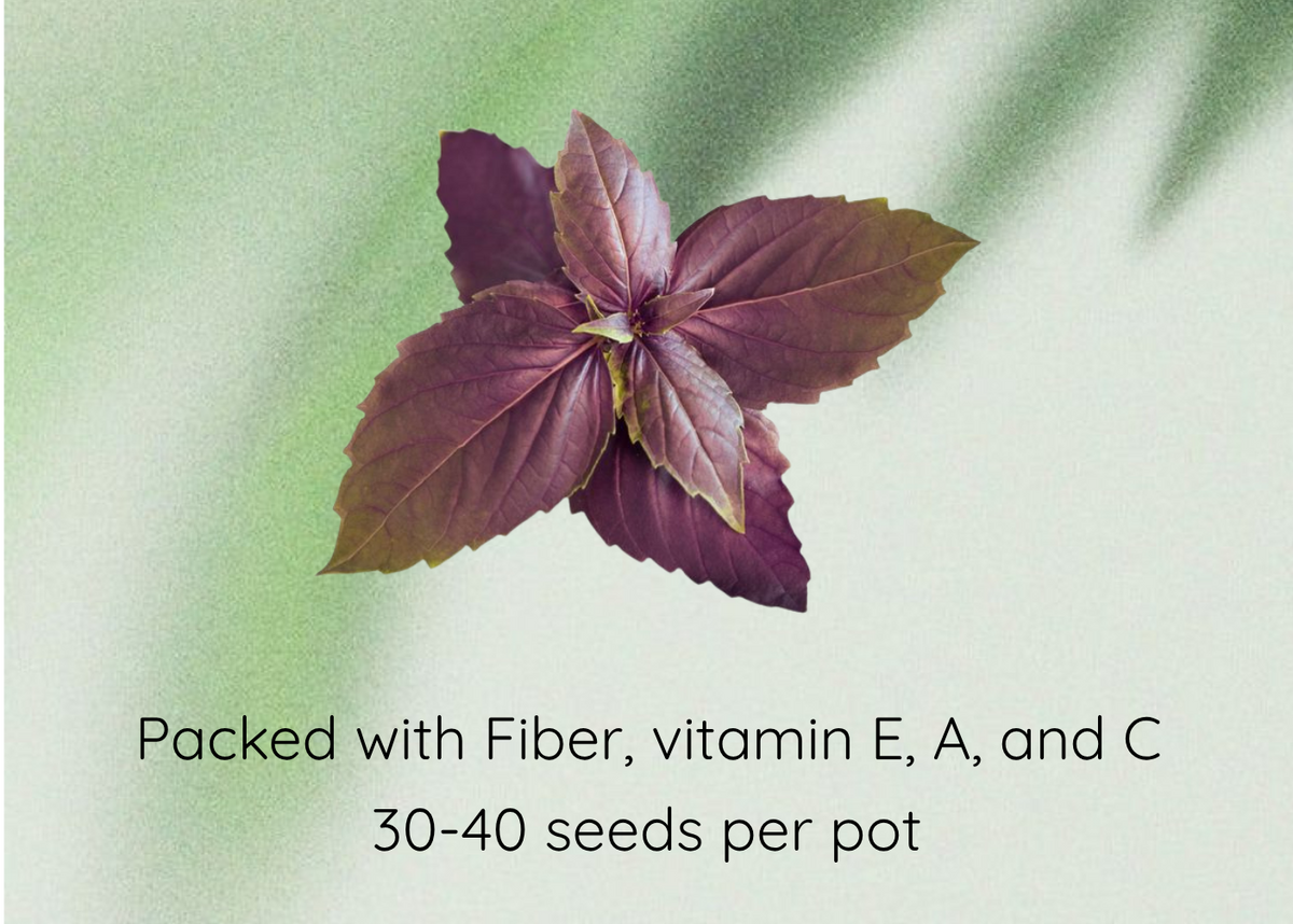 Basil Purple Seeds promotional graphic featuring a central photo of purple basil leaves on a soft green background with text reading 'Basil Purple Seeds' and 'Packed with Fiber, vitamin E, A, and C / 30-40 seeds per pot'.
