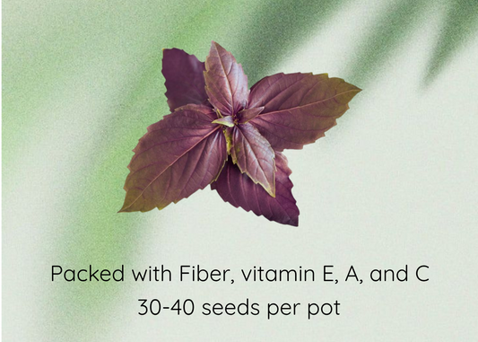 Basil Purple Seeds promotional graphic featuring a central photo of purple basil leaves on a soft green background with text reading 'Basil Purple Seeds' and 'Packed with Fiber, vitamin E, A, and C / 30-40 seeds per pot'.