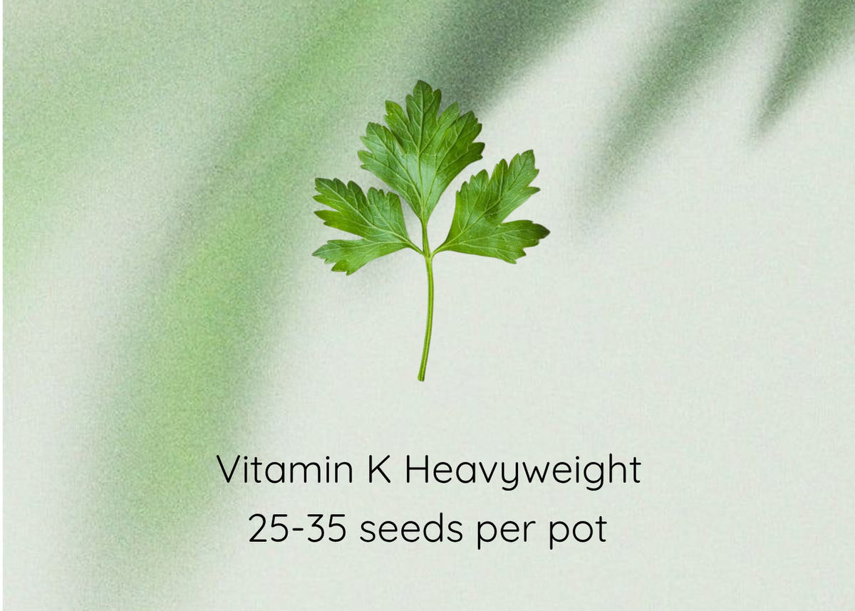 A product graphic for 'Parsley Seeds' featuring a single fresh green parsley leaf centered on a light off-white background with soft green leaf shadows. Text reads 'Parsley Seeds' at the top and 'Vitamin K Heavyweight 25-35 seeds per pot' at the bottom.