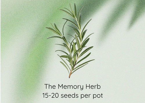 A product graphic for 'Rosemary Seeds' featuring a single illustrated sprig of rosemary herb with text reading 'The Memory Herb' and '15-20 seeds per pot' on a soft green and white background.
