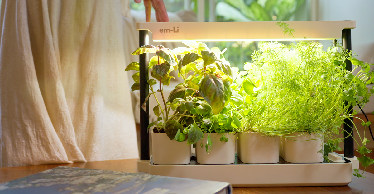 An em-li vertical indoor garden system with four white pots and a bright LED light, shown on a wooden table with a person's hand adjusting the top panel in a warm, sunlit room.