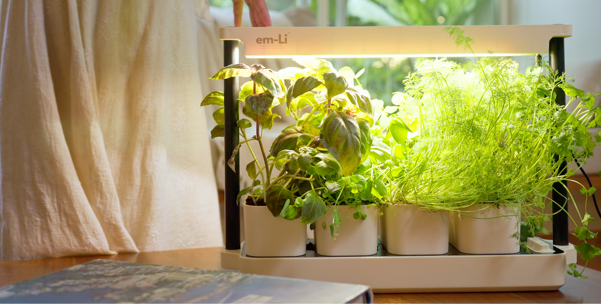 An em-li vertical indoor garden system with four white pots and a bright LED light, shown on a wooden table with a person's hand adjusting the top panel in a warm, sunlit room.